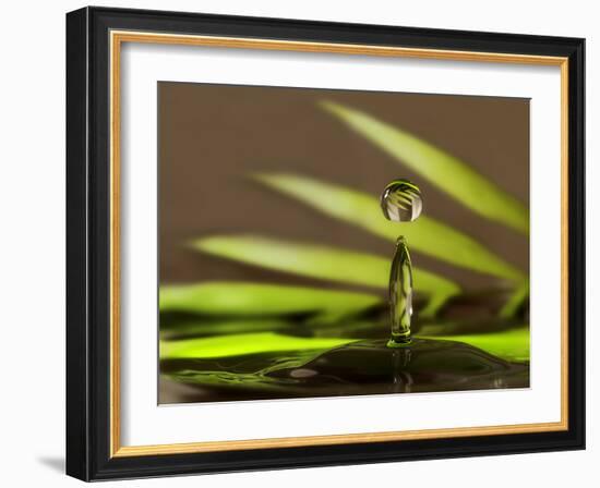 Palm Drops in Chocolate-Heidi Westum-Framed Photographic Print