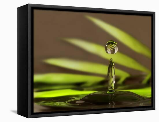 Palm Drops in Chocolate-Heidi Westum-Framed Premier Image Canvas