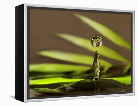 Palm Drops in Chocolate-Heidi Westum-Framed Premier Image Canvas