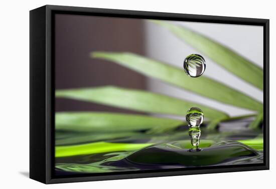 Palm Drops in Chocolate-Heidi Westum-Framed Premier Image Canvas