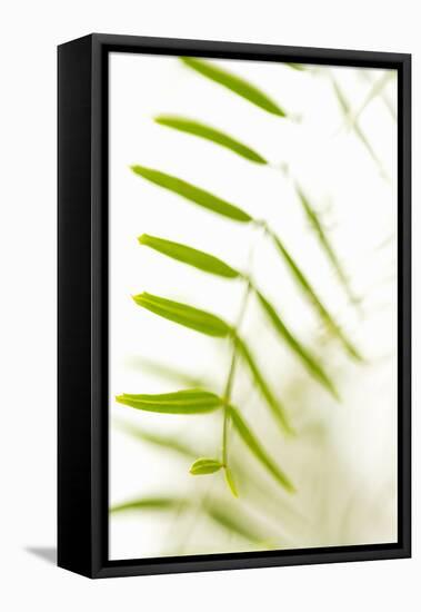 Palm Fonds IV-Karyn Millet-Framed Premier Image Canvas