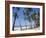 Palm Fringed Beach, Goa, India-Michelle Garrett-Framed Photographic Print