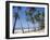 Palm Fringed Beach, Goa, India-Michelle Garrett-Framed Photographic Print