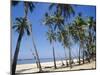 Palm Fringed Beach, Goa, India-Michelle Garrett-Mounted Photographic Print