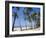 Palm Fringed Beach, Goa, India-Michelle Garrett-Framed Photographic Print