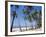Palm Fringed Beach, Goa, India-Michelle Garrett-Framed Photographic Print