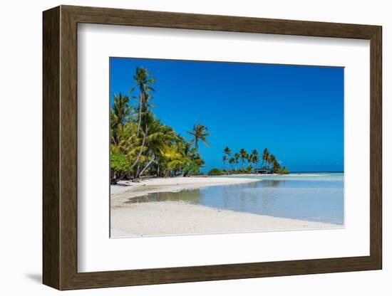 Palm fringed motu in the Blue Lagoon, Rangiroa atoll, Tuamotus, French Polynesia-Michael Runkel-Framed Photographic Print