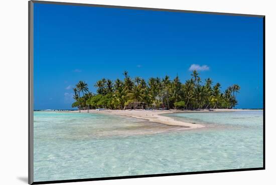 Palm fringed motu in the Blue Lagoon, Rangiroa atoll, Tuamotus, French Polynesia-Michael Runkel-Mounted Photographic Print