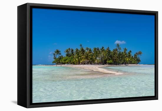Palm fringed motu in the Blue Lagoon, Rangiroa atoll, Tuamotus, French Polynesia-Michael Runkel-Framed Premier Image Canvas