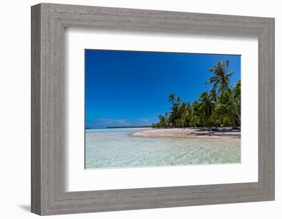 Palm fringed motu in the Blue Lagoon, Rangiroa atoll, Tuamotus, French Polynesia-Michael Runkel-Framed Photographic Print