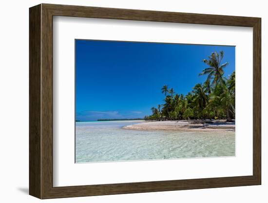 Palm fringed motu in the Blue Lagoon, Rangiroa atoll, Tuamotus, French Polynesia-Michael Runkel-Framed Photographic Print