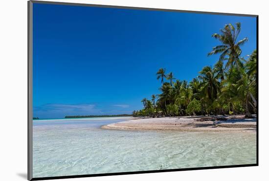 Palm fringed motu in the Blue Lagoon, Rangiroa atoll, Tuamotus, French Polynesia-Michael Runkel-Mounted Photographic Print