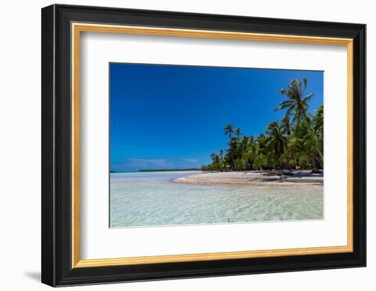 Palm fringed motu in the Blue Lagoon, Rangiroa atoll, Tuamotus, French Polynesia-Michael Runkel-Framed Photographic Print