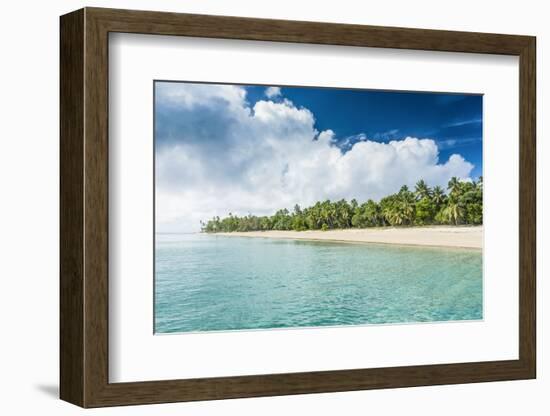 Palm Fringed White Sand Beach in Ha'Apai, Ha'Apai Islands, Tonga, South Pacific-Michael Runkel-Framed Photographic Print