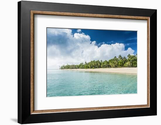 Palm Fringed White Sand Beach in Ha'Apai, Ha'Apai Islands, Tonga, South Pacific-Michael Runkel-Framed Photographic Print