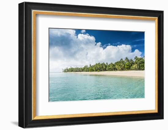 Palm Fringed White Sand Beach in Ha'Apai, Ha'Apai Islands, Tonga, South Pacific-Michael Runkel-Framed Photographic Print