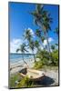 Palm Fringed White Sand Beach on an Islet of Vava'U, Tonga, South Pacific-Michael Runkel-Mounted Photographic Print