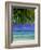 Palm Frond and Beach, Rangiroa Atoll, Tuamotu Archipelago, French Polynesia, South Pacific Islands-Sylvain Grandadam-Framed Photographic Print