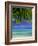 Palm Frond and Beach, Rangiroa Atoll, Tuamotu Archipelago, French Polynesia, South Pacific Islands-Sylvain Grandadam-Framed Photographic Print