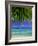 Palm Frond and Beach, Rangiroa Atoll, Tuamotu Archipelago, French Polynesia, South Pacific Islands-Sylvain Grandadam-Framed Photographic Print