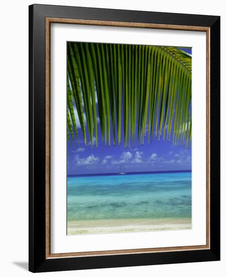 Palm Frond and Beach, Rangiroa Atoll, Tuamotu Archipelago, French Polynesia, South Pacific Islands-Sylvain Grandadam-Framed Photographic Print