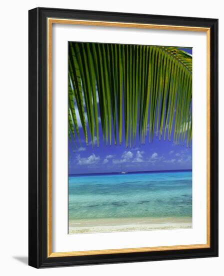 Palm Frond and Beach, Rangiroa Atoll, Tuamotu Archipelago, French Polynesia, South Pacific Islands-Sylvain Grandadam-Framed Photographic Print