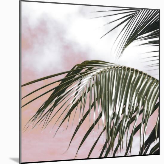 Palm Frond I-Malcolm Sanders-Mounted Giclee Print