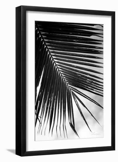 Palm Frond II-Debra Van Swearingen-Framed Art Print