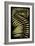 Palm Frond III-null-Framed Premium Giclee Print