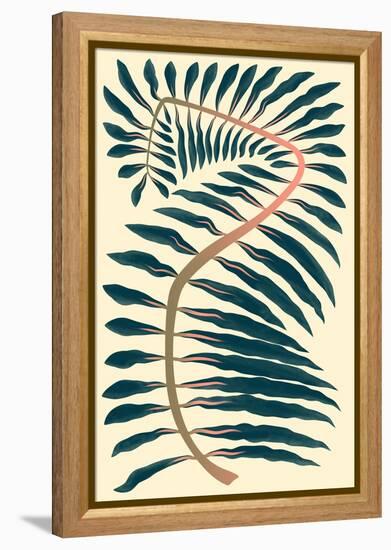 Palm Frond IV-null-Framed Stretched Canvas