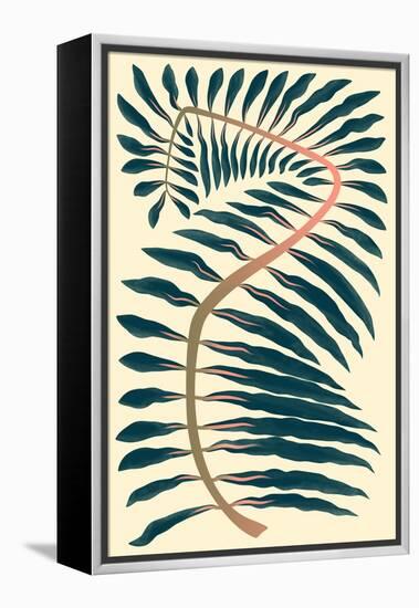 Palm Frond IV-null-Framed Stretched Canvas
