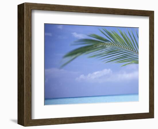 Palm Frond Over Tropical Water-Michele Westmorland-Framed Photographic Print