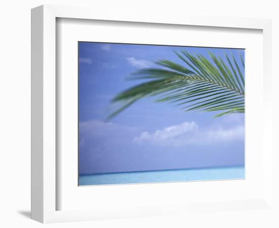 Palm Frond Over Tropical Water-Michele Westmorland-Framed Photographic Print