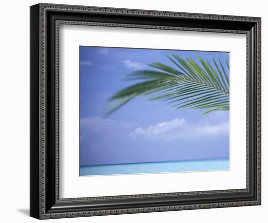 Palm Frond Over Tropical Water-Michele Westmorland-Framed Photographic Print