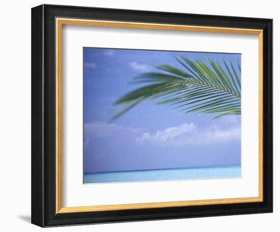 Palm Frond Over Tropical Water-Michele Westmorland-Framed Photographic Print