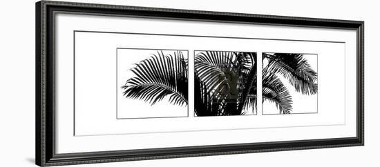 Palm Frond Triptych III-Bill Philip-Framed Art Print