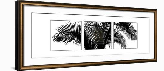 Palm Frond Triptych III-Bill Philip-Framed Art Print