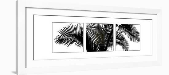 Palm Frond Triptych III-Bill Philip-Framed Art Print