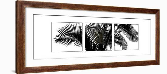 Palm Frond Triptych III-Bill Philip-Framed Art Print