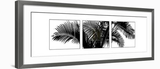 Palm Frond Triptych III-Bill Philip-Framed Art Print