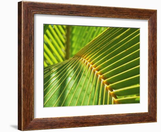 Palm Frond-Karen Ussery-Framed Giclee Print