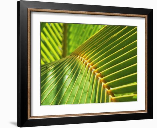 Palm Frond-Karen Ussery-Framed Giclee Print