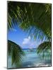 Palm Fronds and Beach, Rangiroa Atoll, Tuamotu Archipelago, French Polynesia, South Pacific Islands-Sylvain Grandadam-Mounted Photographic Print