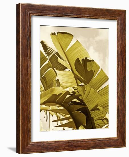 Palm Fronds I-Rachel Perry-Framed Art Print