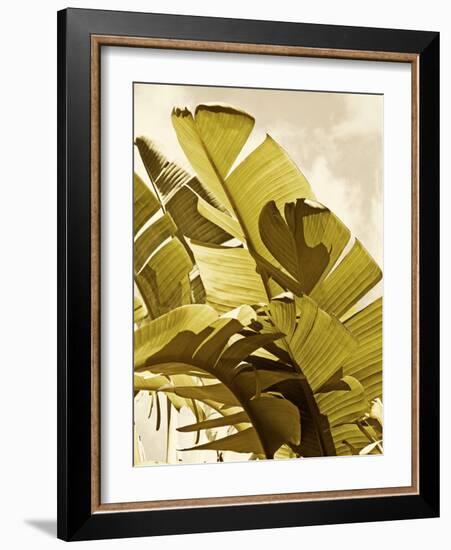 Palm Fronds I-Rachel Perry-Framed Art Print