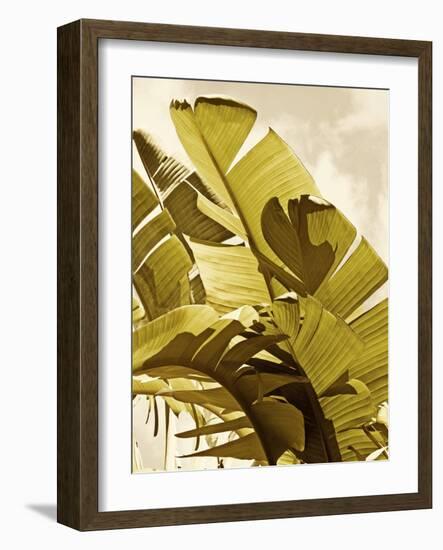 Palm Fronds I-Rachel Perry-Framed Art Print