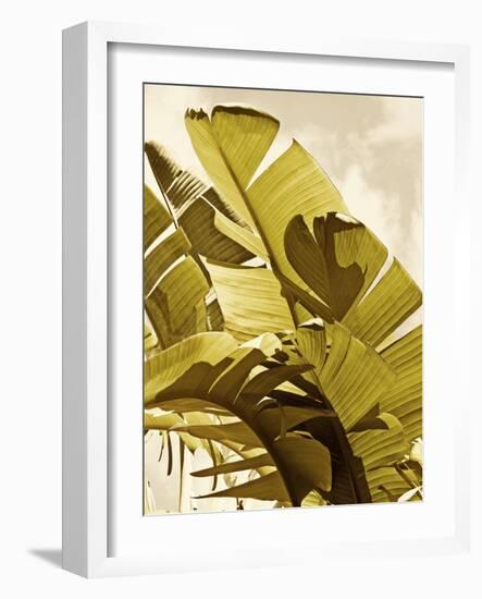 Palm Fronds I-Rachel Perry-Framed Art Print