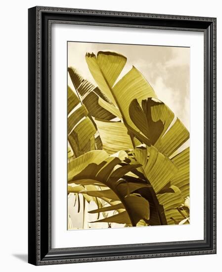 Palm Fronds I-Rachel Perry-Framed Art Print