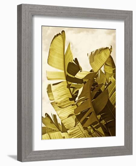 Palm Fronds II-Rachel Perry-Framed Art Print