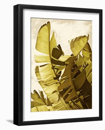 Palm Fronds II-Rachel Perry-Framed Art Print